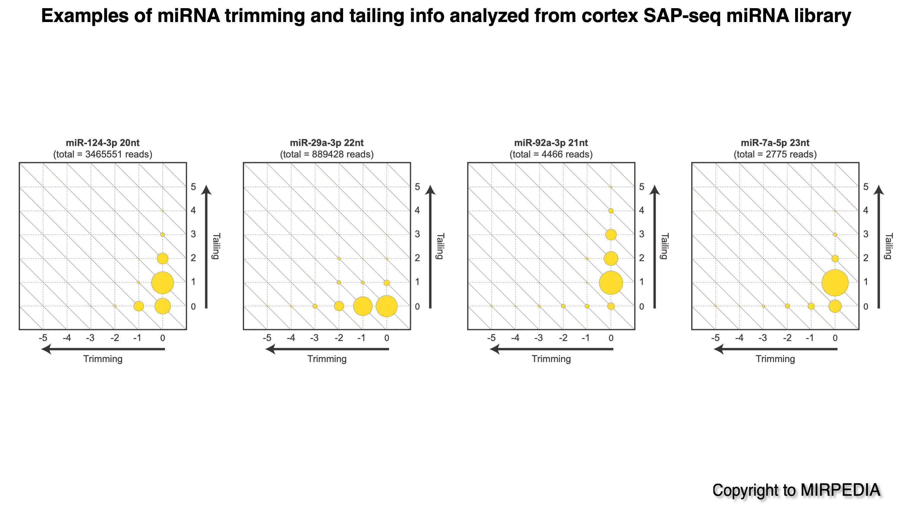 Examples of miRNA trim and tail from SAP-seq